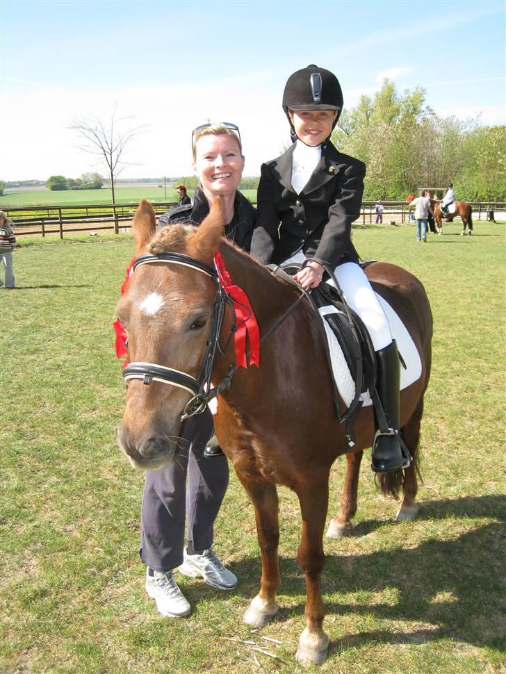 Dartmoor Sille<3 (i himlen) - Nu er vi blevet dygtige. billede 8