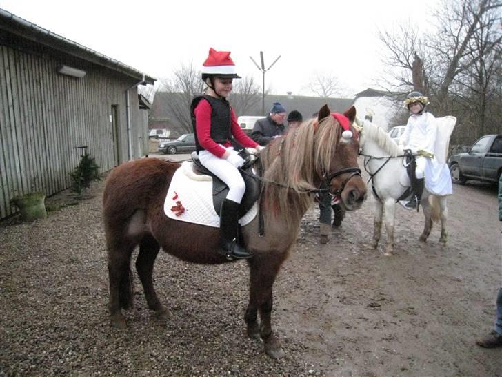 Dartmoor Sille<3 (i himlen) - Nu er vi til springstævne. billede 9