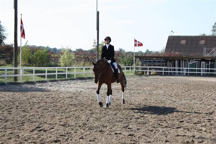 Anden særlig race Thilde  - Årslev 2009, afslutning (:      Taget af: Maria Holm  billede 20