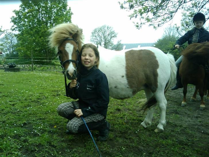 Shetlænder Chessy =]<33 - Chessy og Mig ! <333 billede 4