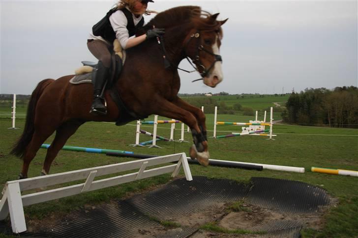 Anden særlig race AN-DRO - Vandgrav - uden vand, JEGELSKERDIG. billede 11