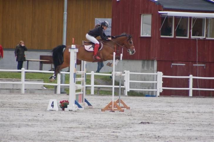 Anden særlig race Casco - Baltic cup - Epona, Norge 2009. billede 2