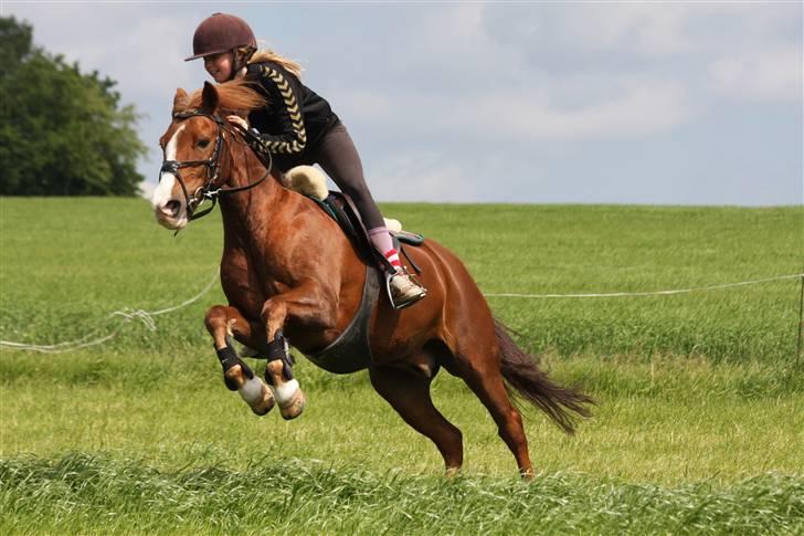 Anden særlig race AN-DRO - Der var et hul i jorden som vi sprang over xD billede 12