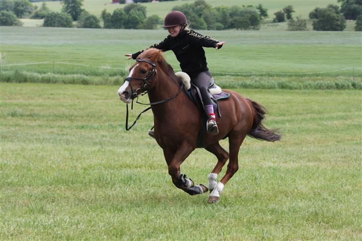 Anden særlig race AN-DRO - Weehar bette :D <3. billede 13