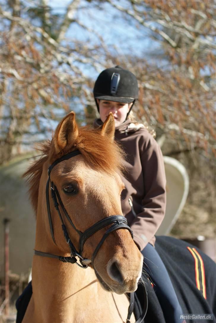 Anden særlig race Unique - Min søster Malene og Unique... Det nye perfekte par, hun har hende også oprettet her inde :) taget af FotoMB billede 20