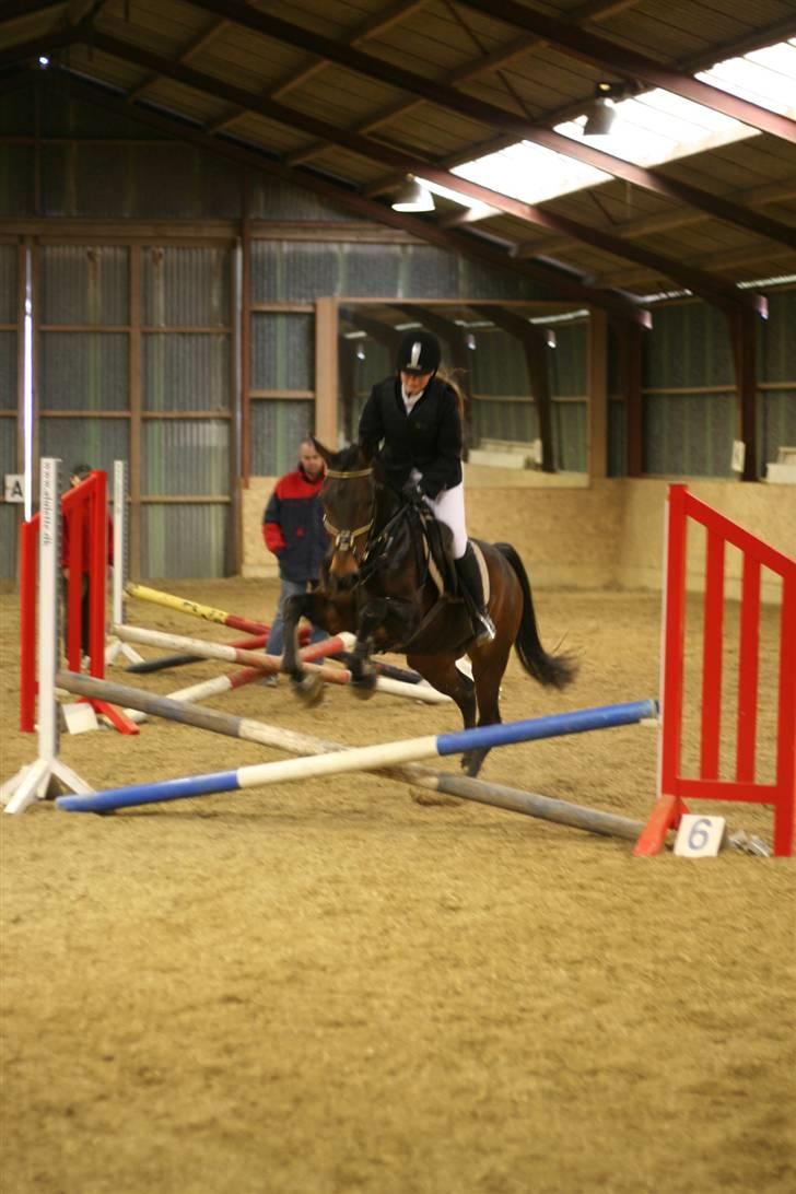 Anden særlig race Khanyze - spring stævne i RIDO (: billede 9