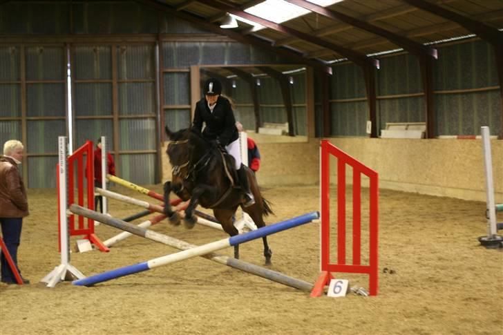 Anden særlig race Khanyze - spring stævne i RIDO (: billede 10