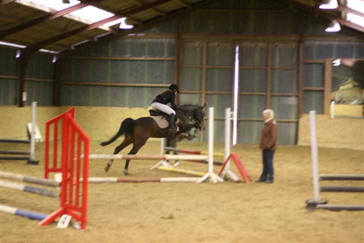 Anden særlig race Khanyze - spring stævne i RIDO (: billede 11