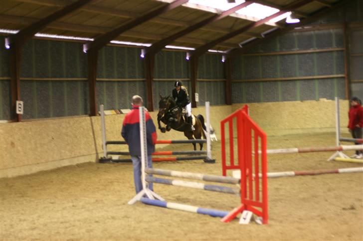 Anden særlig race Khanyze - spring stævne i RIDO (: billede 12