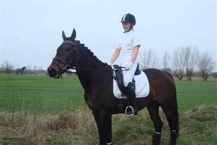 Anden særlig race Khanyze - opstilning smil (: hun ville ikke tage ørene frem  billede 13