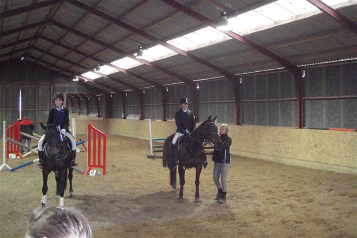 Anden særlig race Khanyze - 3 plads i rido-spring billede 14