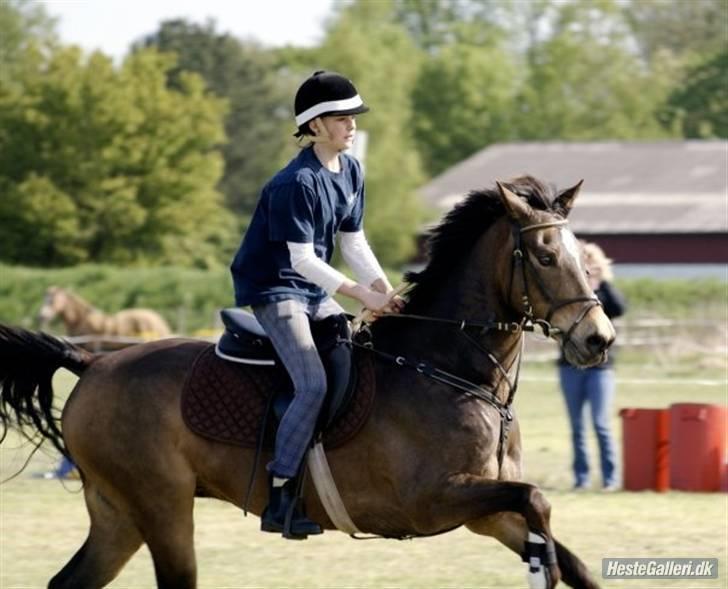 Anden særlig race *Jumping star * - Nordic league (:  billede 2