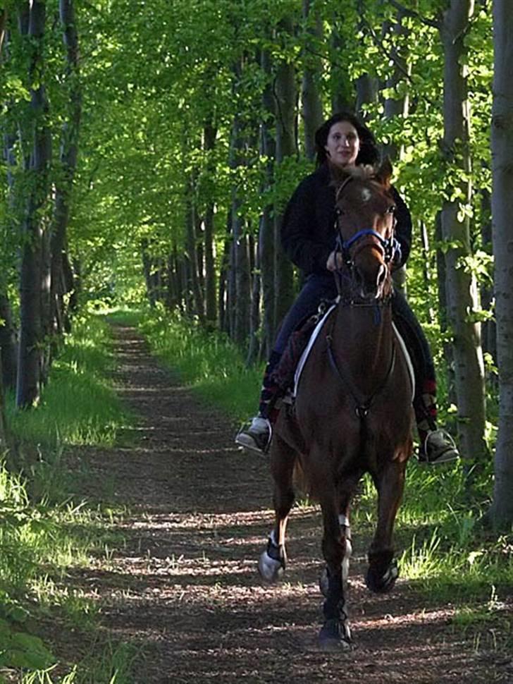 Traver Aka Lendalund billede 14