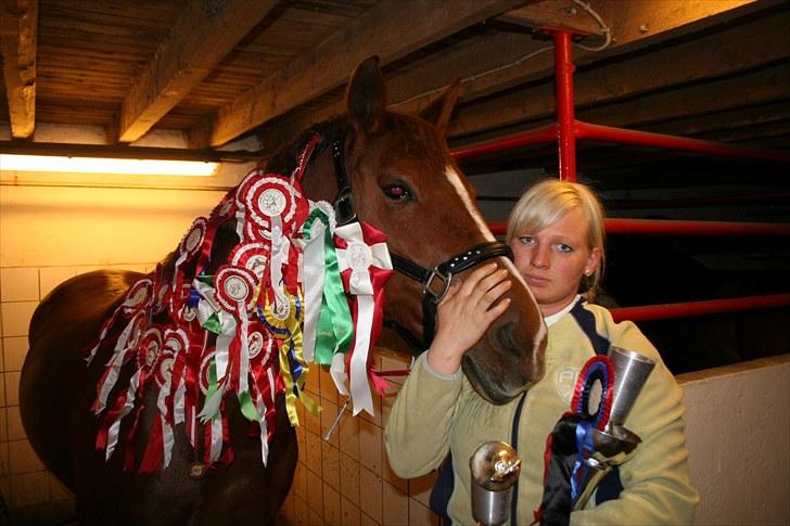 Anden særlig race Maybe xx Hibolis  - lidt af det vi har vundet billede 5