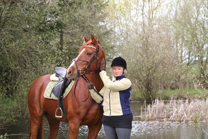 Anden særlig race Maybe xx Hibolis  billede 10