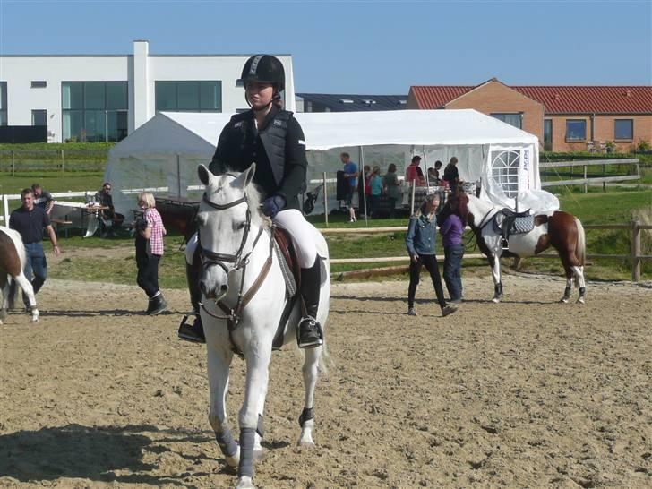 Anden særlig race La Santa - Solvang Opvarmning - ´min stjerne. i: billede 10