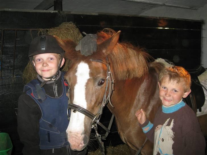 Anden særlig race Flicka - Martin & Magnus!.... Der bliver hygget Flicka<333 billede 4