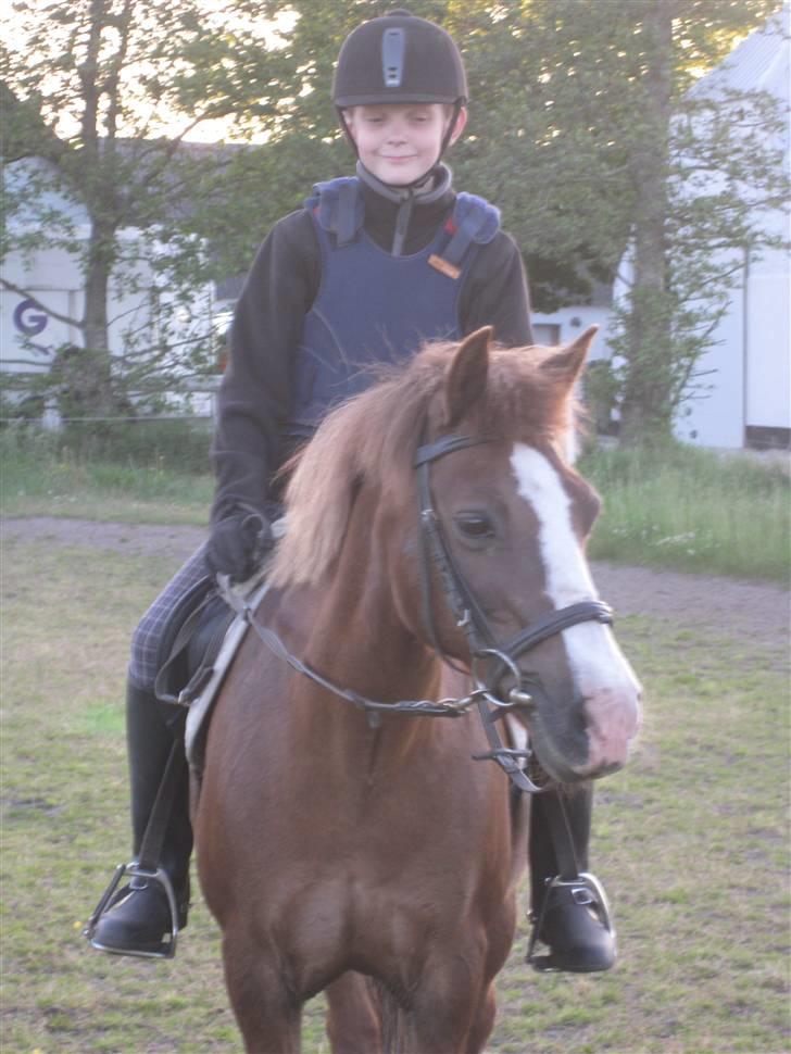 Anden særlig race Flicka - Martin tager lige en lille tur på Tøsen....... Den skønne la pony.  billede 5