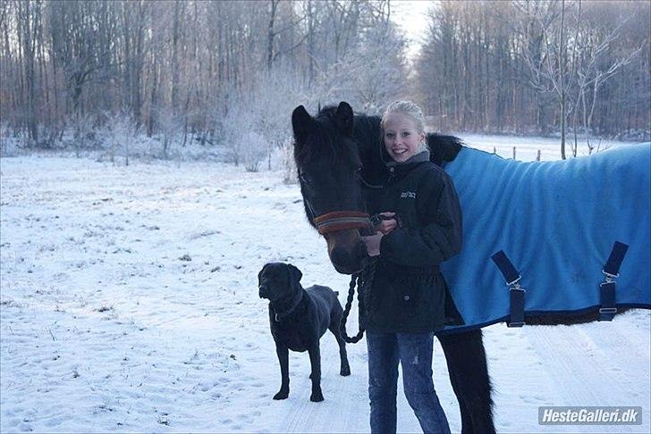 Anden særlig race Vestergaardens Malou - dem jeg elsker aller højst <3 billede 10