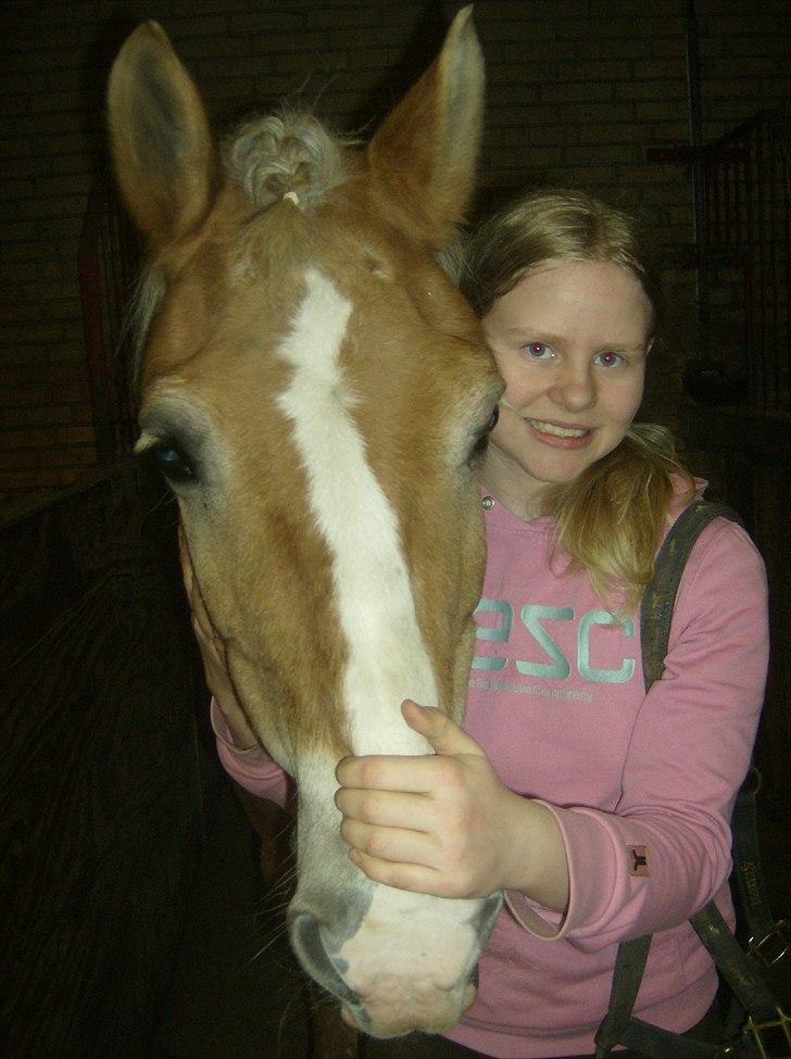 Haflinger Valerie - Hygge med prinsessen i mit liv ~ 2010. billede 11