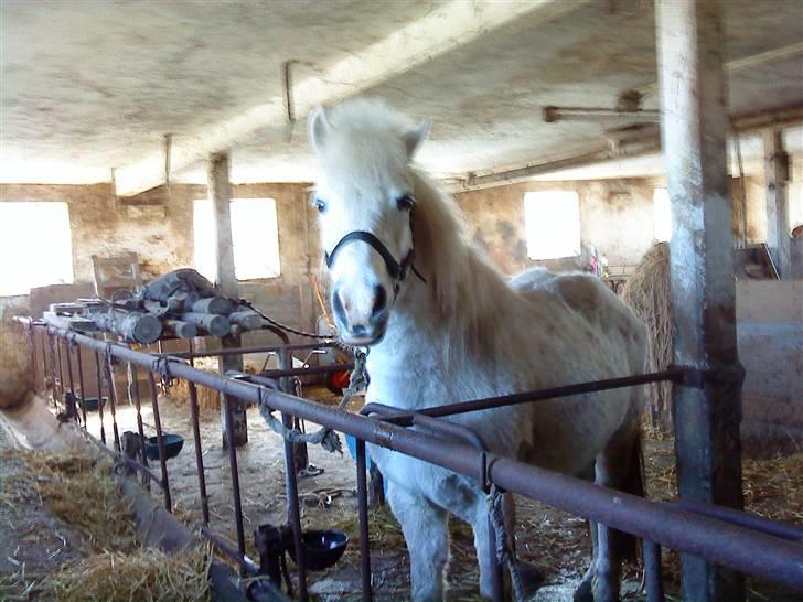 Anden særlig race Debbie - 14) Tak fordi i så min profil ;) <3. billede 14