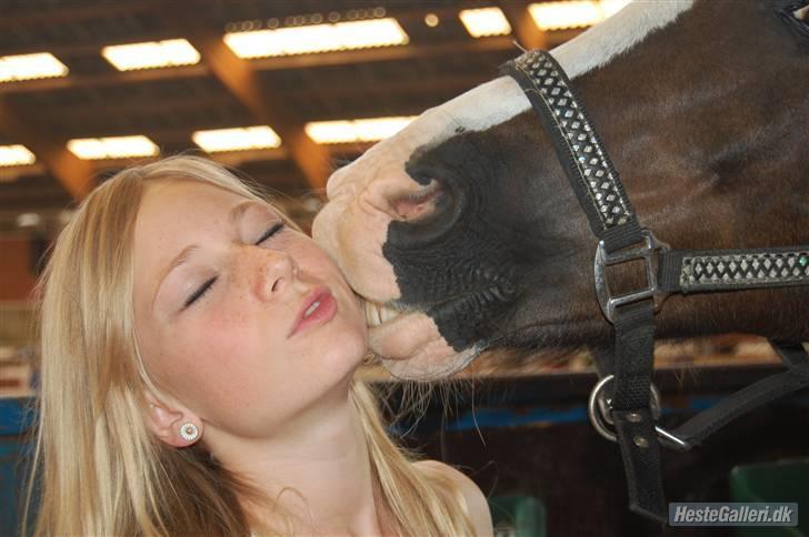 New Forest Igor | B-pony | Solgt - - fordi jeg elsker dig <3 billede 15