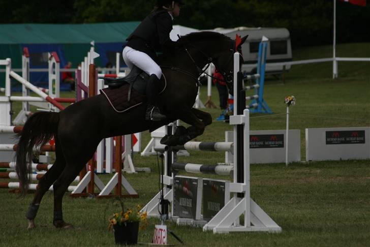 Anden særlig race Ninja - Ninja <3 billede 11