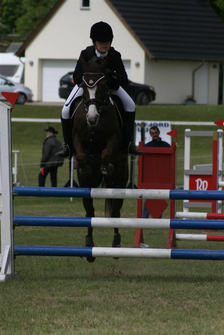 Anden særlig race Ninja - Den smukke <3  billede 12