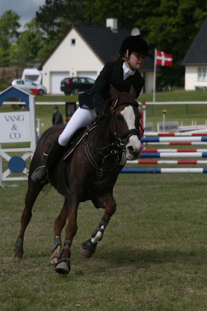 Anden særlig race Ninja - Hurtig som en Ninja ;D billede 13