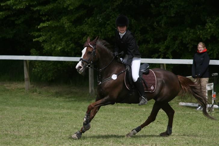 Anden særlig race Ninja - Man kan ikke være andet, end glad for den pony <3 billede 14