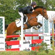 Sportsaraber (A) Murgab