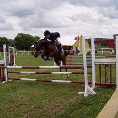 Anden særlig race Filur rakosi  solgt