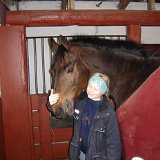 Dansk Varmblod Fantasi R.I.P