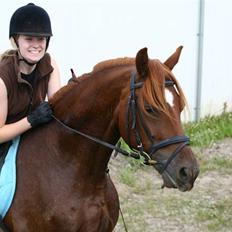 Anden særlig race Hudson SOLGT