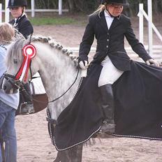 Welsh Mountain (sec A) | Brise (Solgt 07)