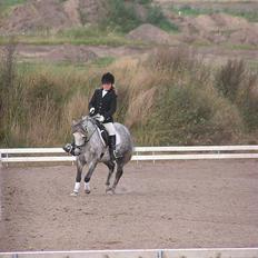 Welsh Mountain (sec A) | Brise (Solgt 07)