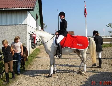 Anden særlig race Snowball R.I.P <3  - Snow og jeg er lige blevet områdemestere i LB2 dressur for hest ;D billede 3