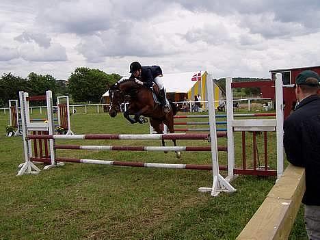 Anden særlig race Filur rakosi  solgt - hopsa billede 1