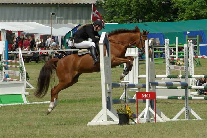 DSP Zanick - Solgt. - Zanick reder numsen på mig på Morsø, Sorry Nicki! s; Foto: Ivan Bach. billede 4