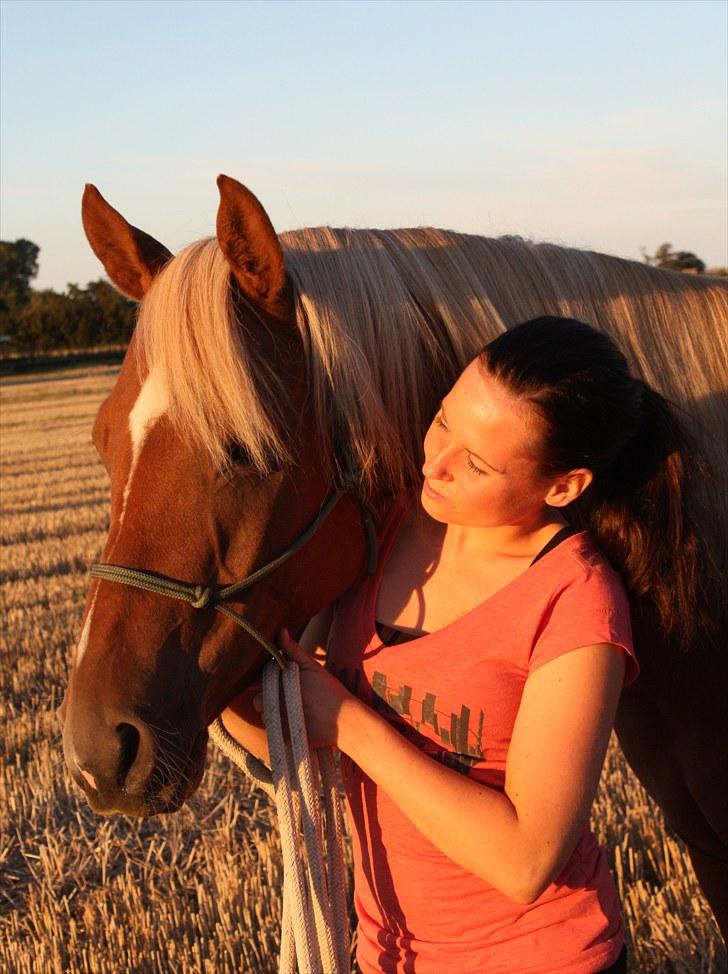 Palomino | Klepholms Krøsus  «3 - Min elskede hest og mig :) billede 6