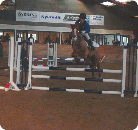 Tysk Sportspony Felix' <3' ..  - Guldager´ Lc 2. plads i tiden 26,6 .. # 1. pladsen var i tiden 26.5 .. lidt surt ! q; <3´/ " billede 1