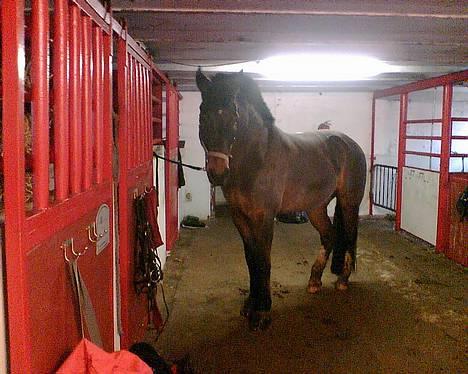 Oldenborg Joy -> R.I.P Altid savnet - Ser jeg ikke SØD ud ;o) billede 1