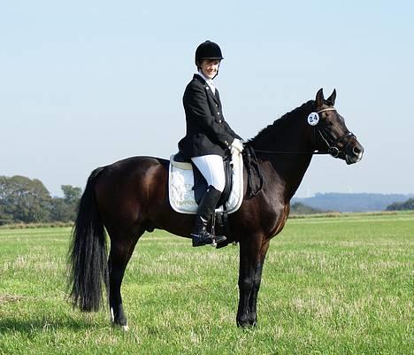 New Forest Mister Malthe ELITEHINGST - Mig og Malthe til de syddanske mesterskaber for NF 2006 i jylland. Her efter vi lige havde været inde og ride mesterskabet ;) Foto: Lene, Malthes ejer billede 12