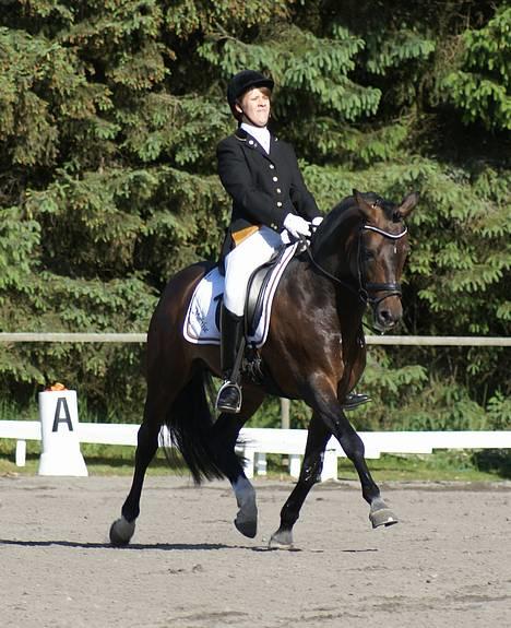 New Forest Mister Malthe ELITEHINGST - Malthe og jeg til vores første landsstævne sammen :D Her i en øgning i PRT hvor vi red 65 %  billede 14