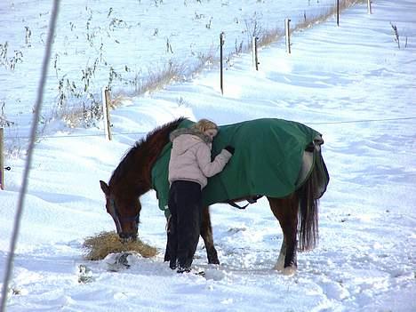 New Forest Lajka R.I.P - *Nyyyt*30-12-05 Vi hygger os billede 14