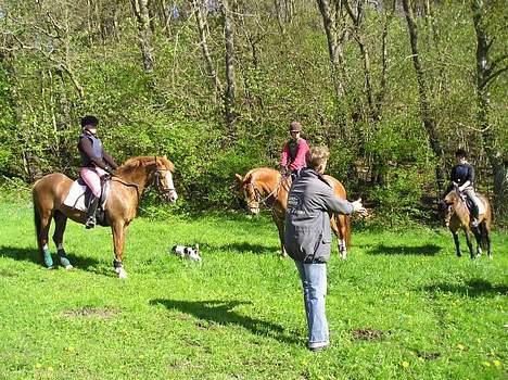 DSP Caliope *SOLGT* - her for vi lige millitæry undervisning, mig helt ude til højre billede 5