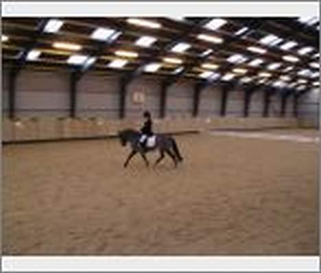 DSP Caliope *SOLGT* - Mig og Caliope til stævne på min efterskole billede 6