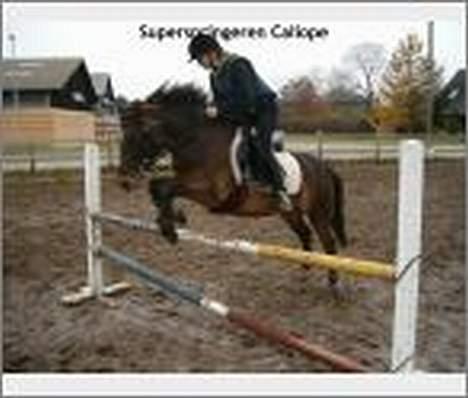 DSP Caliope *SOLGT* - Her er mig og caliope til træning.  billede 7