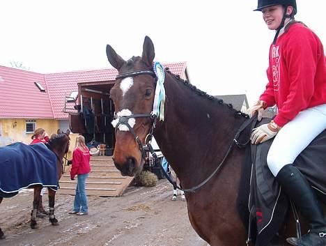 Hannoveraner Aktiv Igen (DØD) - Til stævne på FHSR, sløjfe i 70 cm spring. billede 12