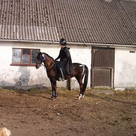 Anden særlig race Menta (tidligere part) billede 12